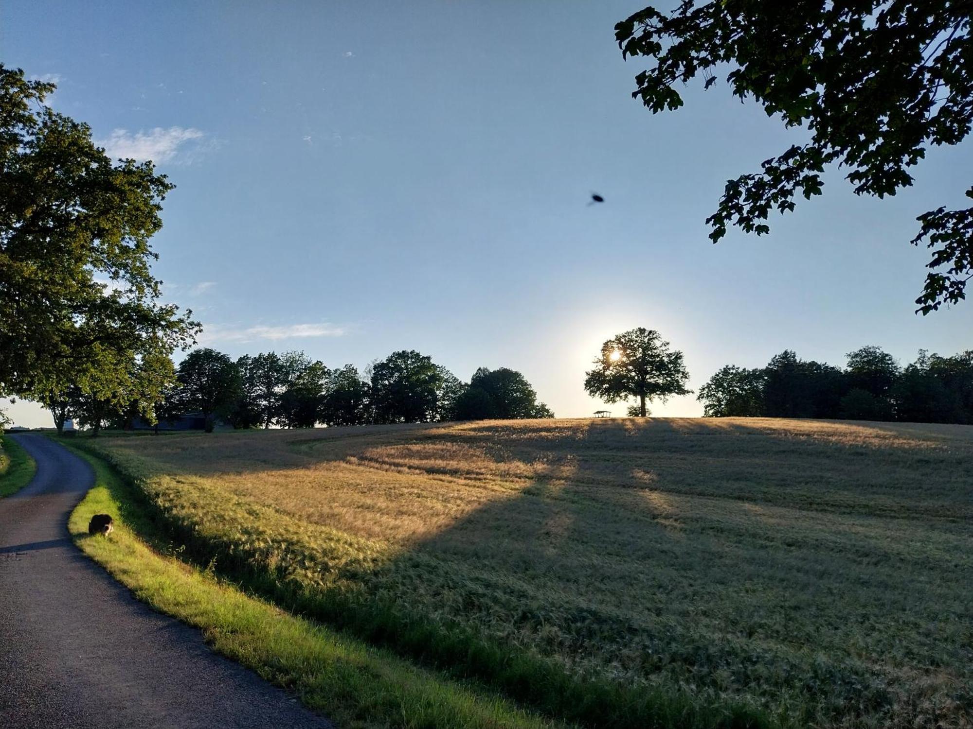 Ferienwohnung - Landhotel Waldschloesschen Sohland an der Spree Eksteriør bilde